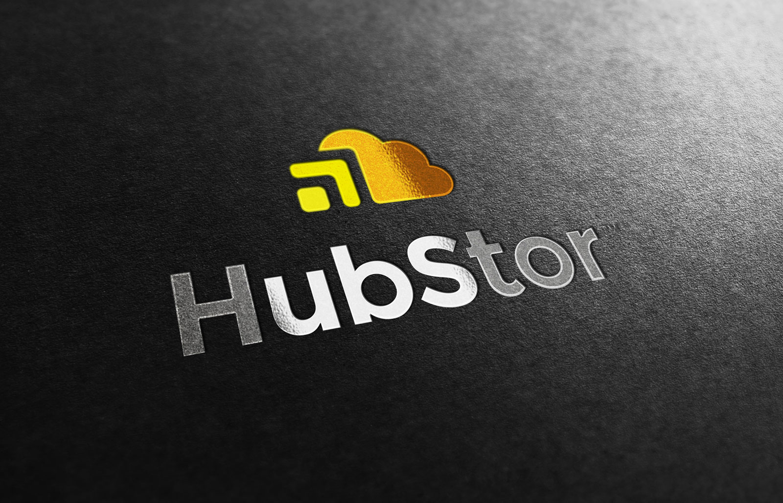 HubStor - Logo Design Foil-Stamp