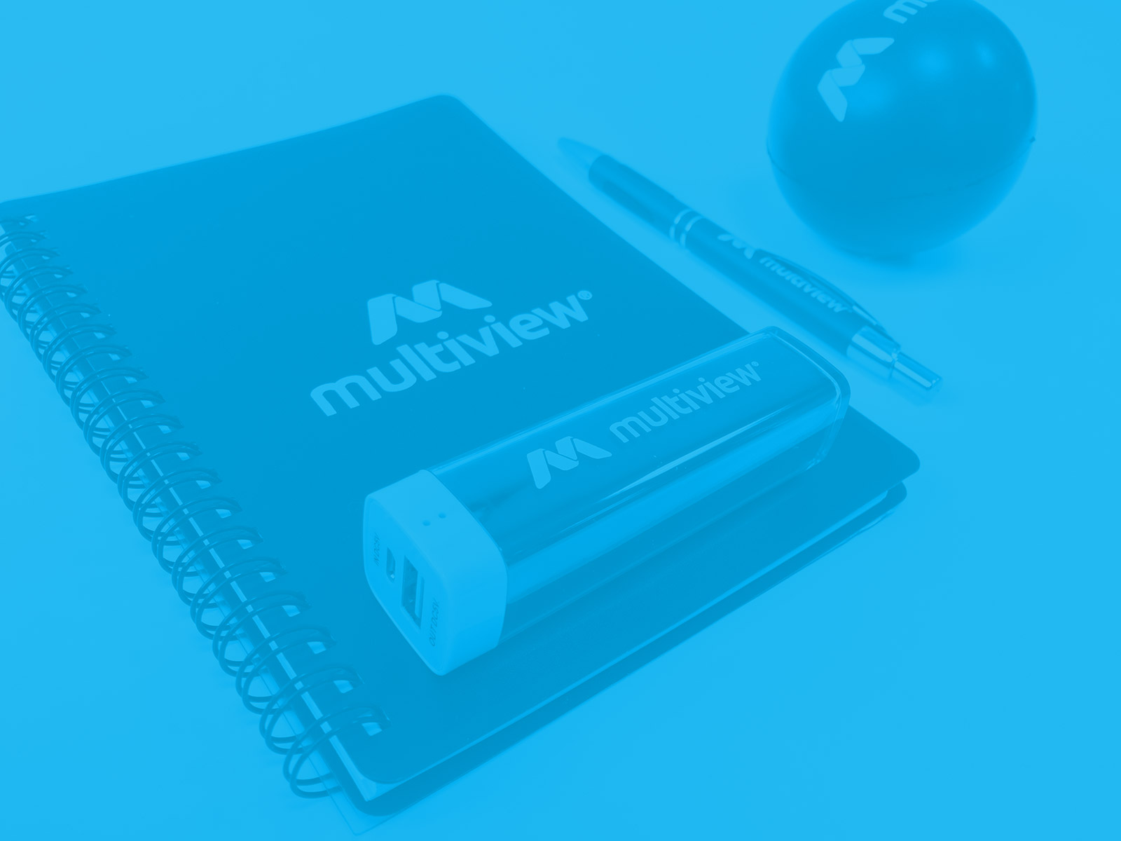 Multiview - Fun Items