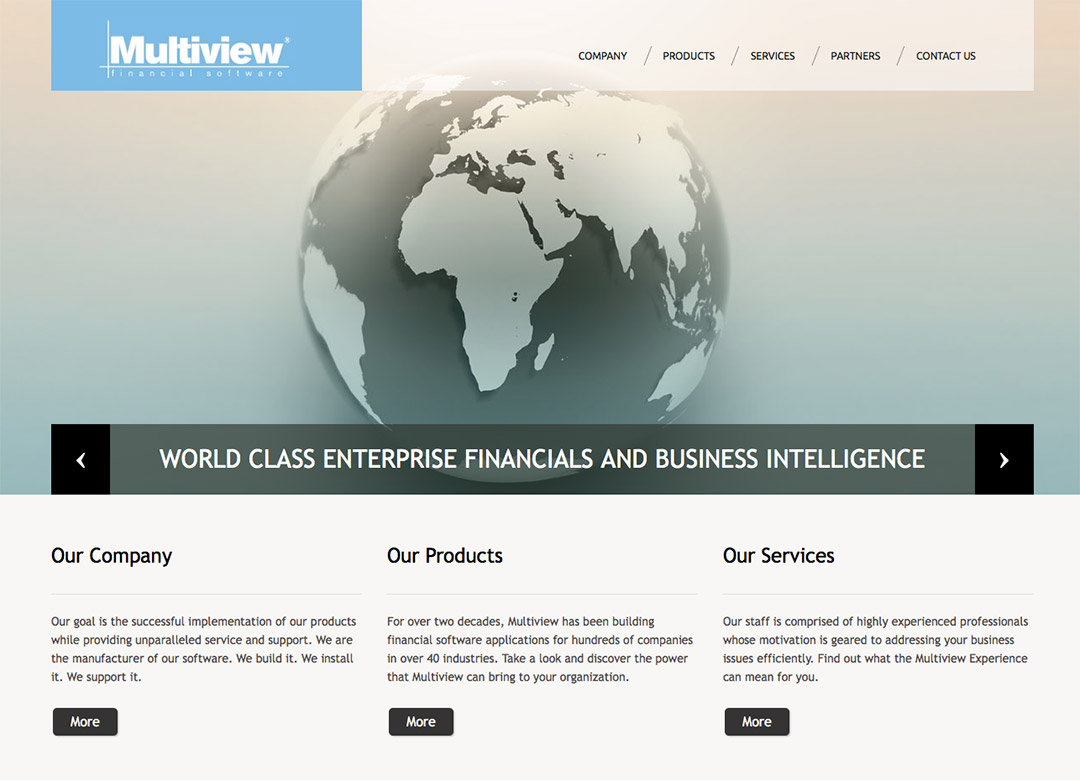 Multiview - Old Website and Logo Design