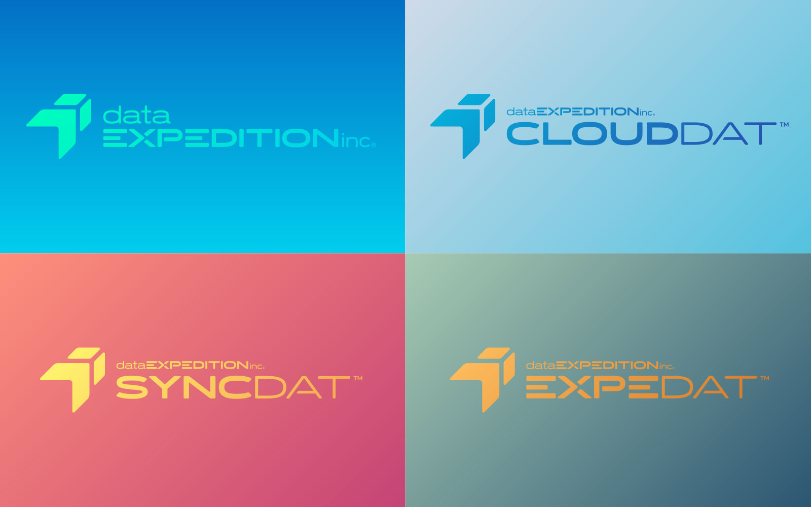 Data Expedition - Logo Design - All Logos