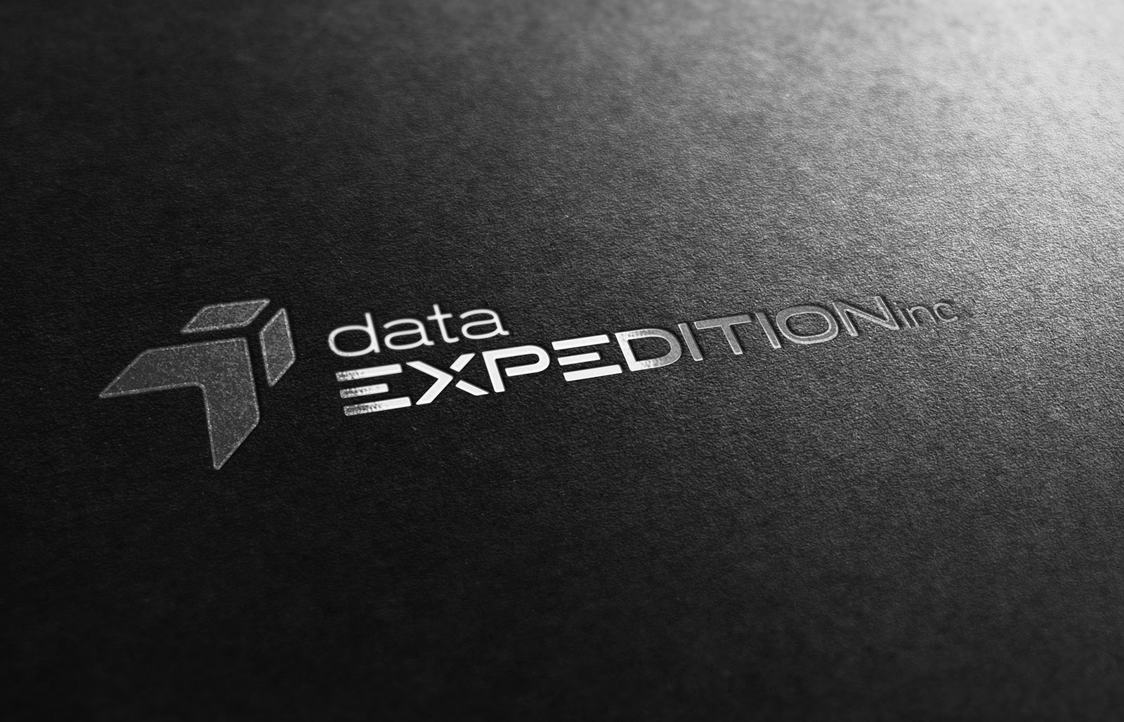 Data Expedition - Logo Design - Foil Stamp