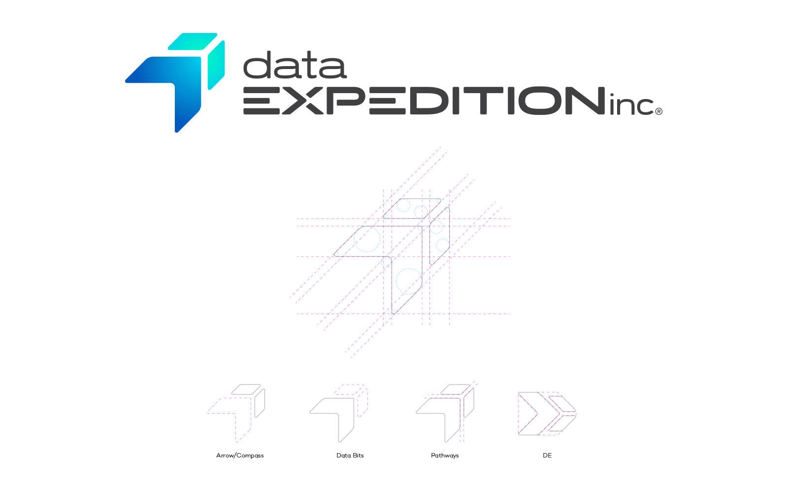 Data Expedition - Logo Design