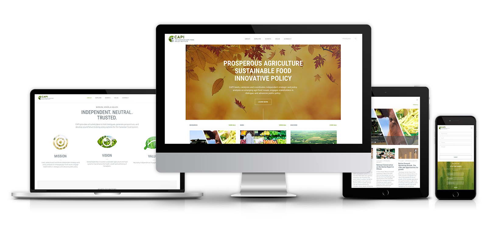 CAPI - Responsive Website Design