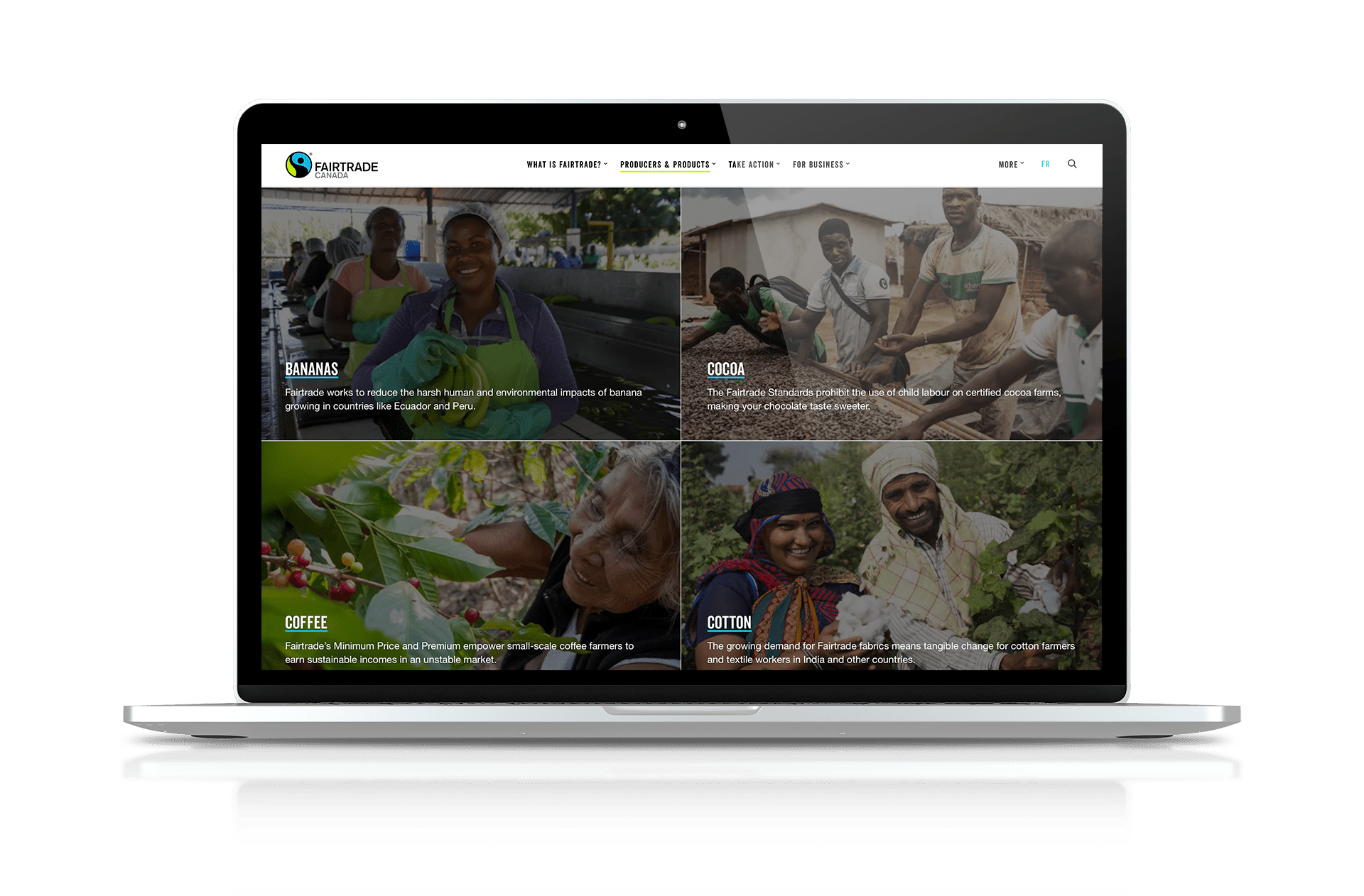 Fairtrade - Website Design
