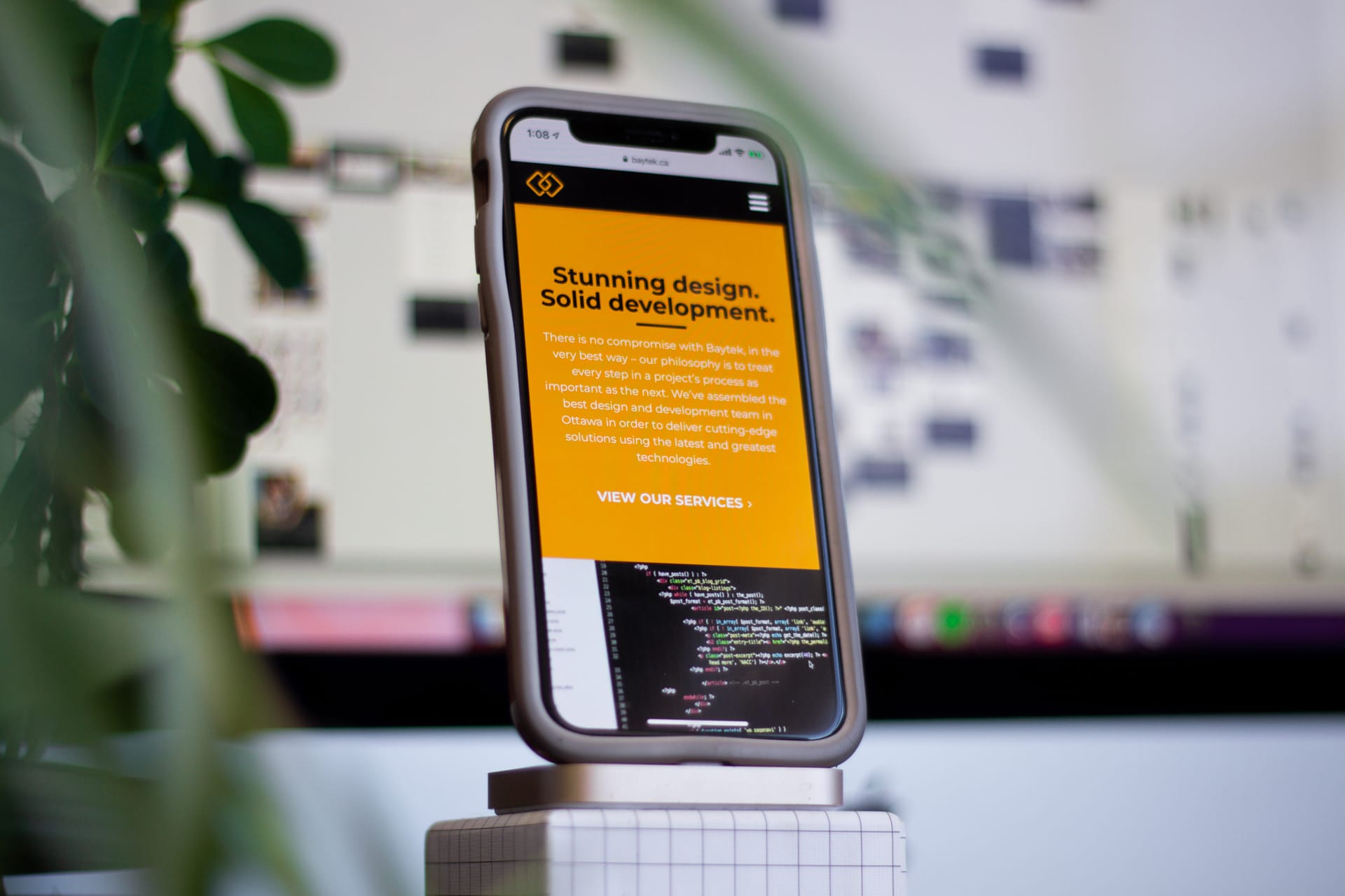 Web Design Custom