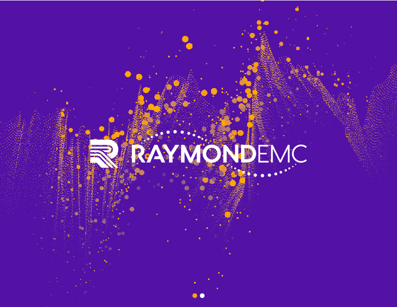 REMC - Logo Design (Reverse)