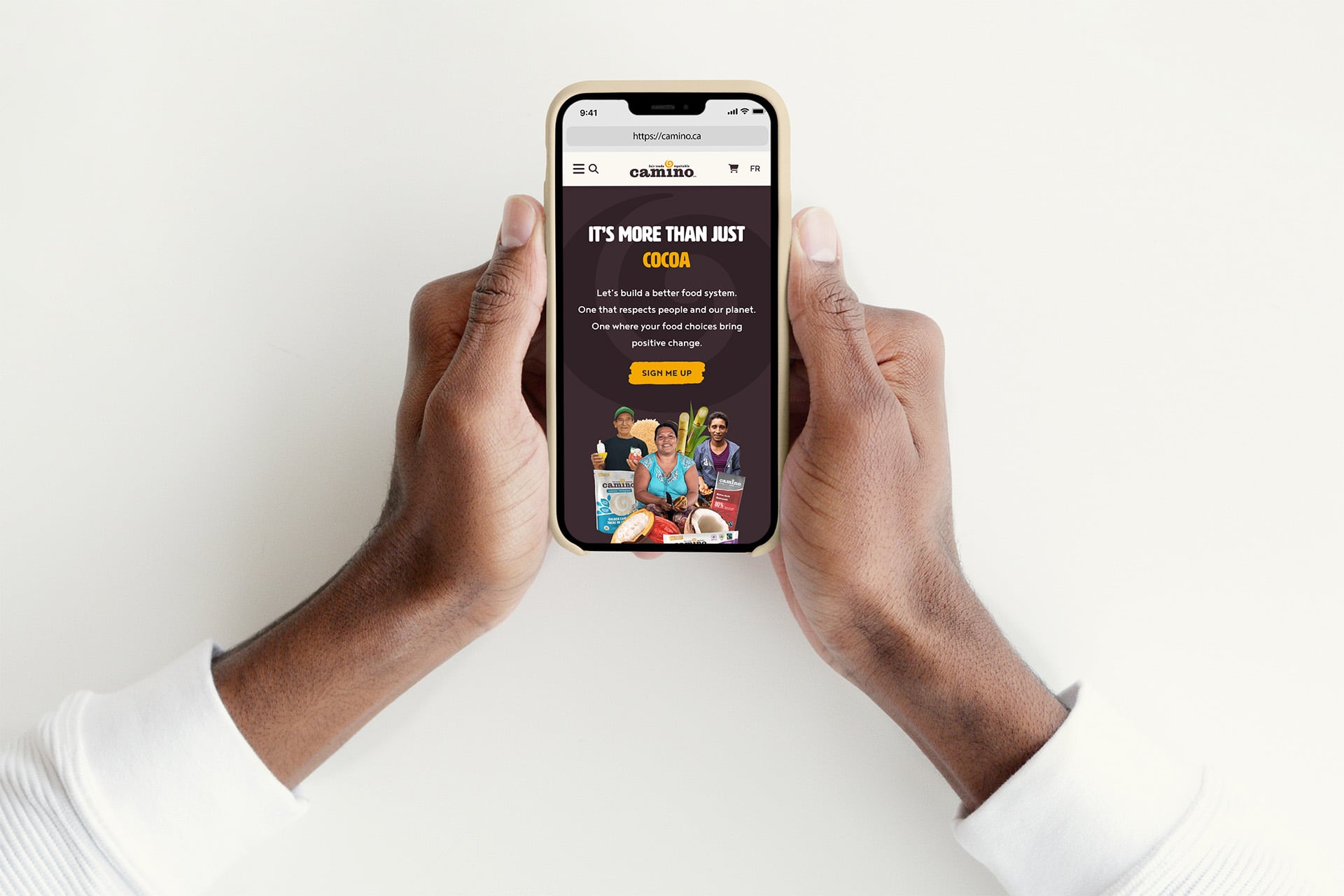 Camino website on smartphone