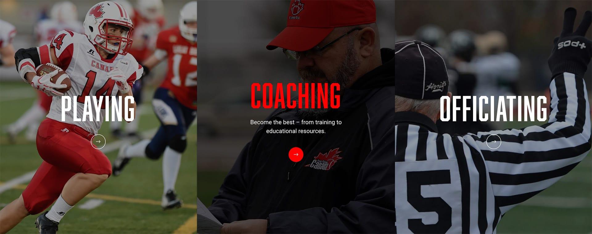 Example 1 of What We Do on a national association website design
