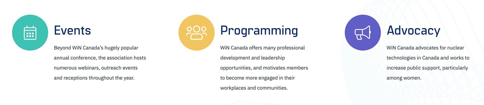Example 2 of What We Do on a national association website design