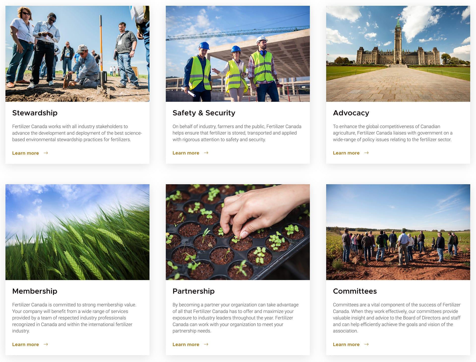 Example 3 of What We Do on a national association website design