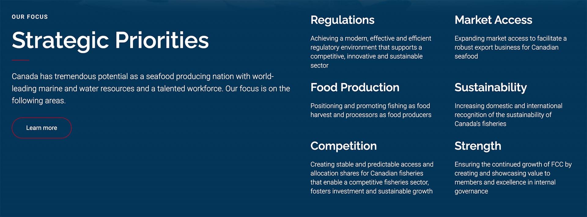 Example 4 of What We Do on a national association website design